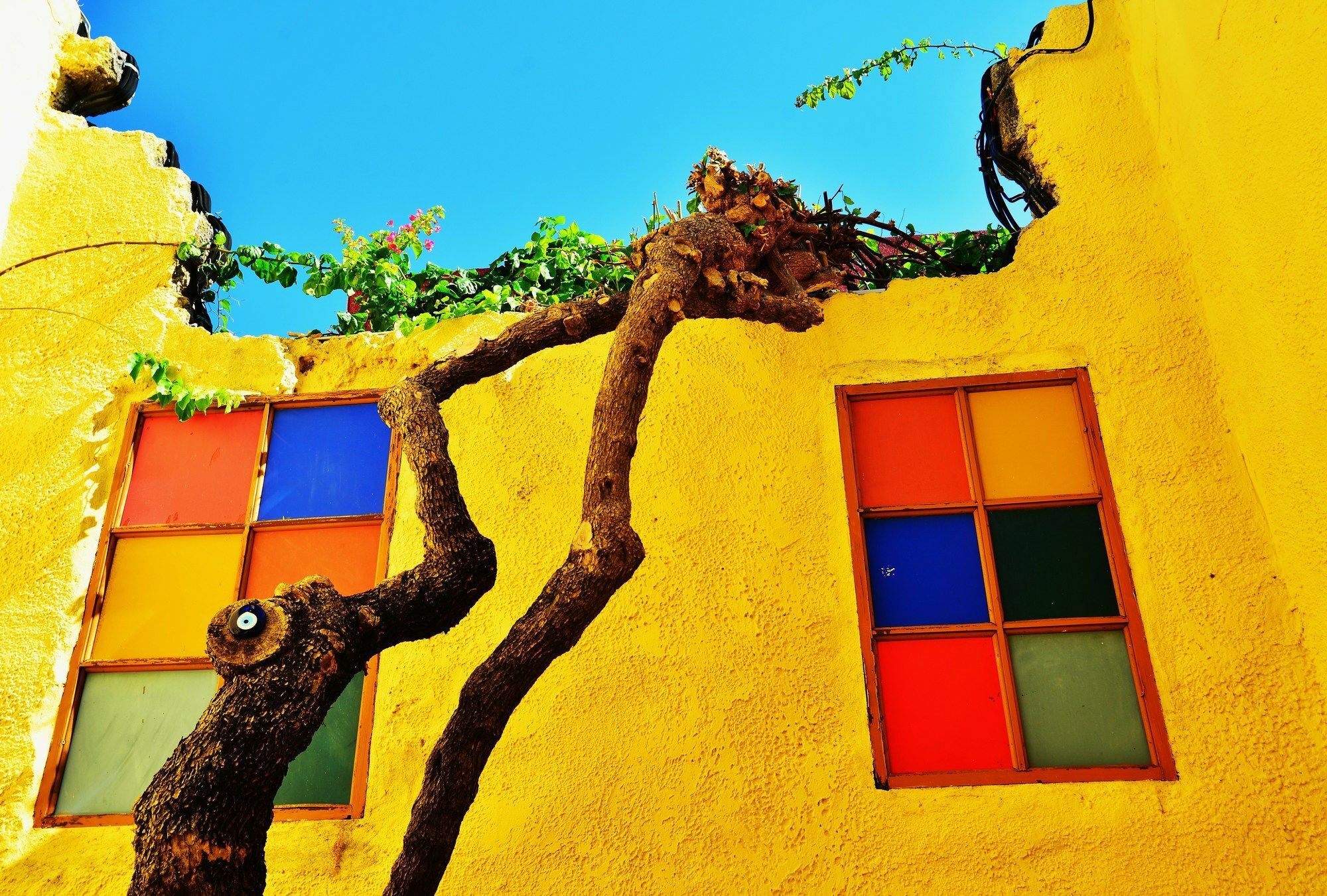 Olympos Pension Rhodes City المظهر الخارجي الصورة